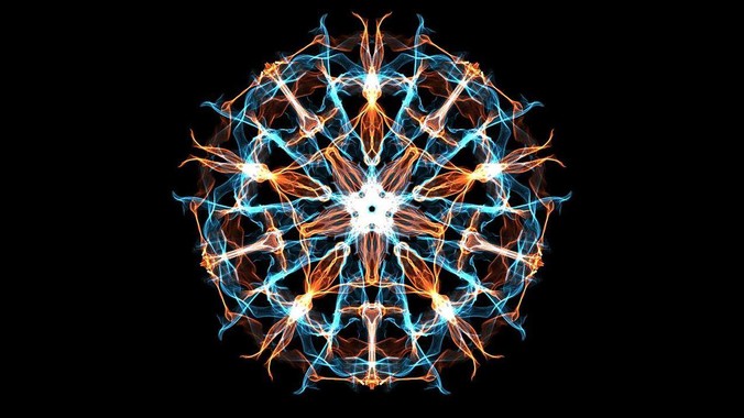 中国特有的狸花猫有多强大?