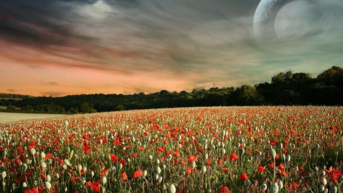 印度公开藏南地区我方战士口咬手雷坚守的***,是想表达什么?